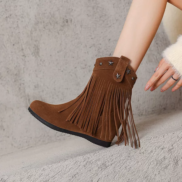 Retro Frosted Thick-Heeled Boots for Women, 2026 New Style Tassel Rivets, Western Cowboy Boots, Versatile Ankle Boots