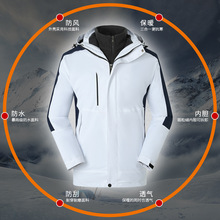 �_�h�¶��ƹ�����ӡlogo�����������׼Ӻ�����һ���b����̽�ӡ��