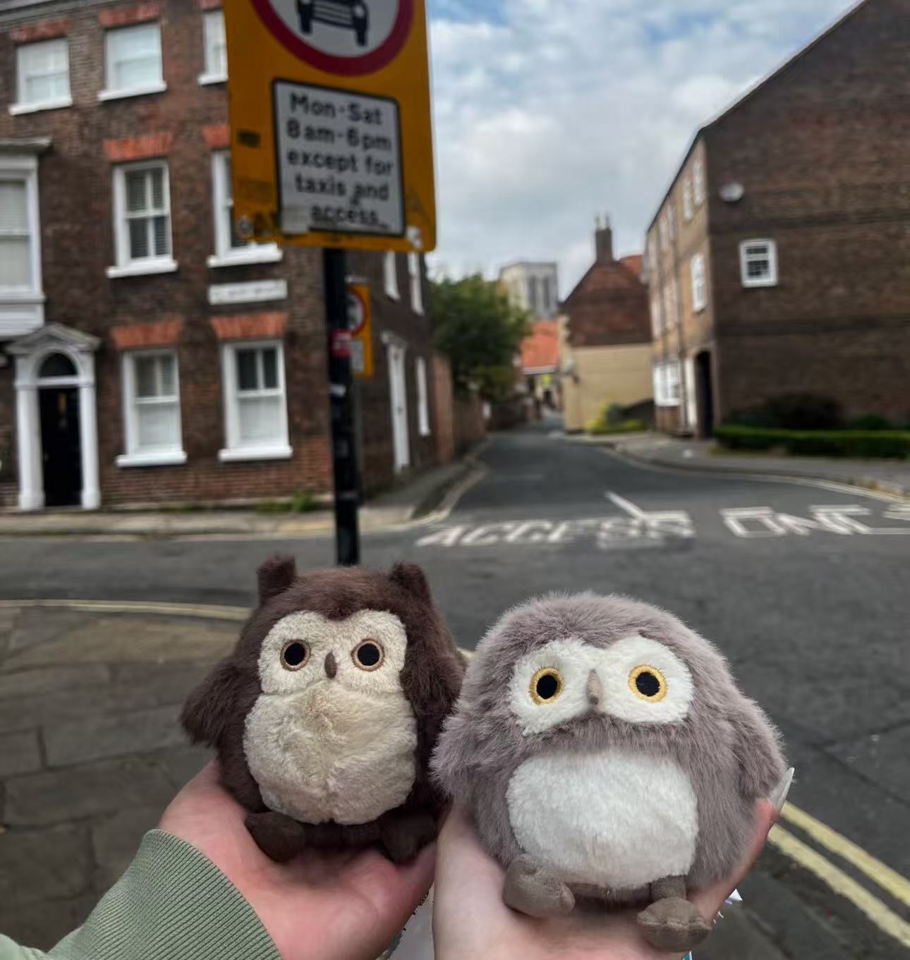 コレクション1;