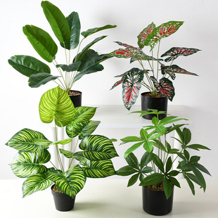 ����Gֲ�����~�lؔ����X�~�ҾӾƵ��b��辰���Wܛ�b�Ӱ巿����