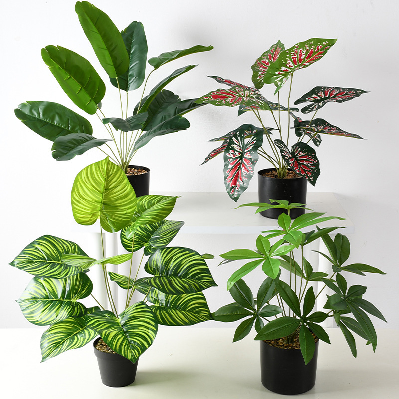 Artificial Green Plants, Turtle Leaf, Money Tree, Money Leaf, Home and Hotel Decoration Bonsai, Nordic Soft Decoration, Model Room Arrangement