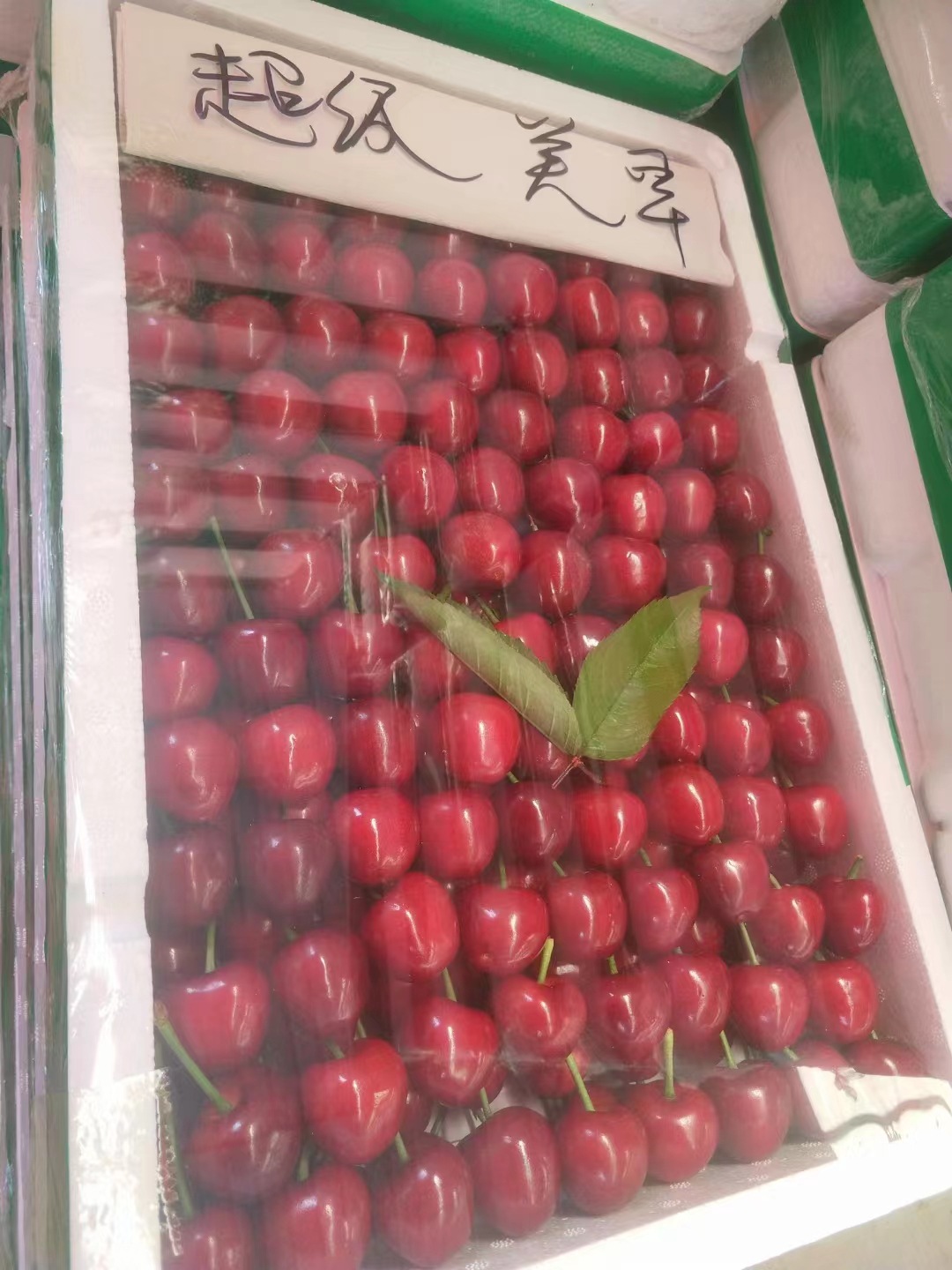 bd203b73090839a821ae5c4c1dd240