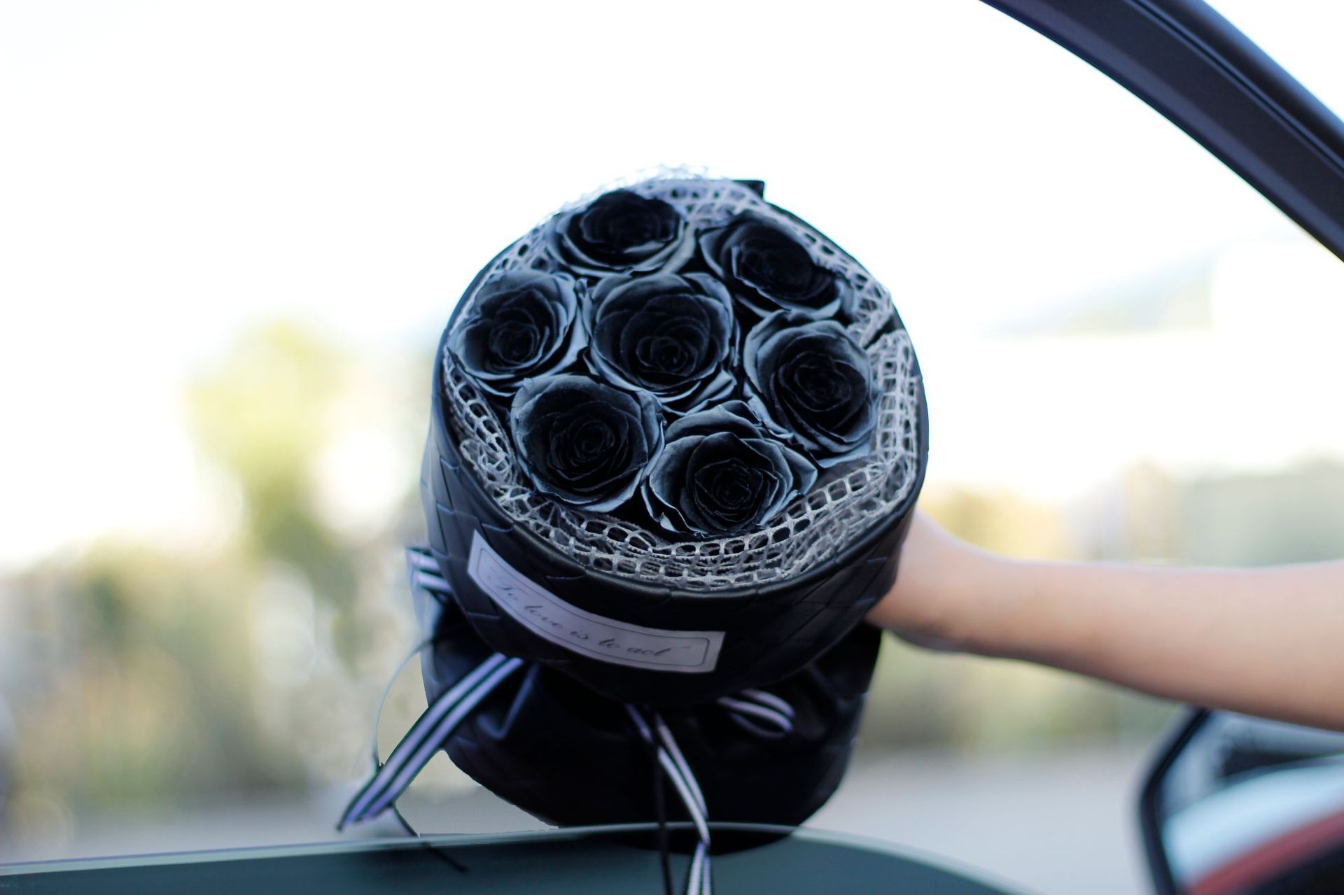 Ciruela negra, flores de flores, regalos de día de San Valentín, regalos de cumpleaños al por mayor, flores verdaderas, flores inmortales, flores de flores, sensación superior.