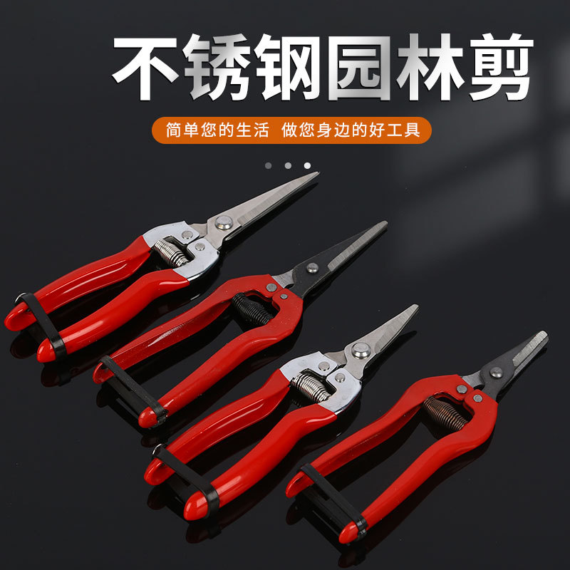 鸿锐园林剪尖头修枝剪胶柄摘果剪多功能家用园林剪刀厂家现货批发