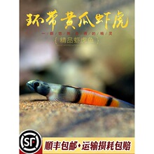 �����ƹ�Ϻ�����ȴ���ӡ�����ϡ�е�ˮ�����������֦��Ϻ������