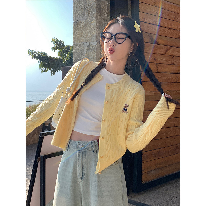 早秋毛衣开衫女2025新款藏蓝色小熊刺绣麻花针织外套韩系穿搭上衣|undefined