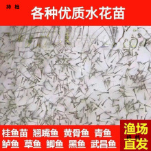 ˮ���~�����l�a�~�~���~���^�����������~���~����~�N���~