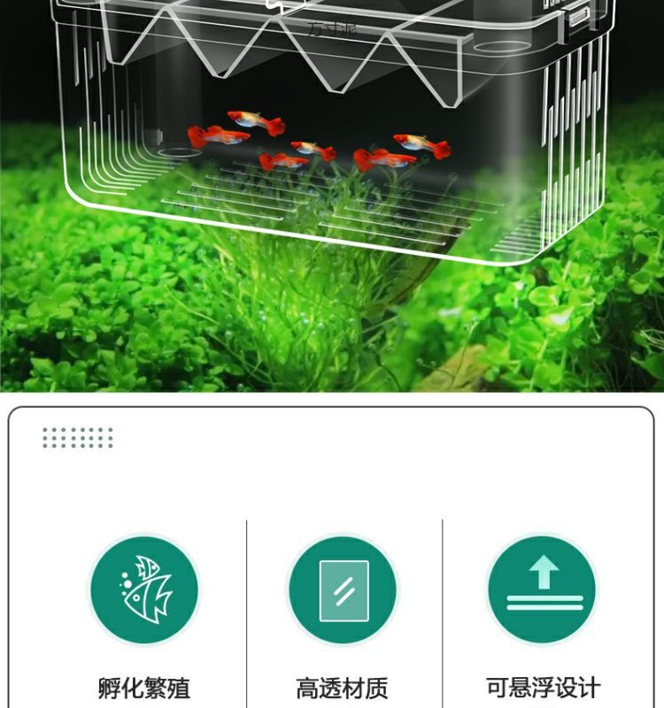 89ccb583-7d42-4195-bcef-130dd35c154e.jpe