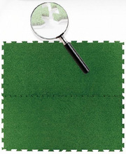 ���Nƴ�Ӳ�ƺ�|�� �o�a�S��ֱ�N��ƺ�|�� �����ƺ�ٲ�ƺ�|�ӵ؉|