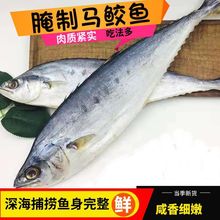 新货马鲛鱼5002500六成干咸鱼干鲅鱼干马鲛鱼干货海鲜批发包邮