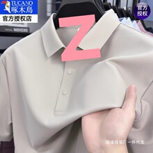��ľ���˿��ʿ����t��polo�����챡������2025�¿������������