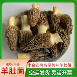 其他干货;羊肚菌;调味酱