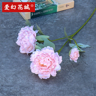 ��������ĵ����c���Ļ�Y�õ��·�����Ż����b�������ٻ�