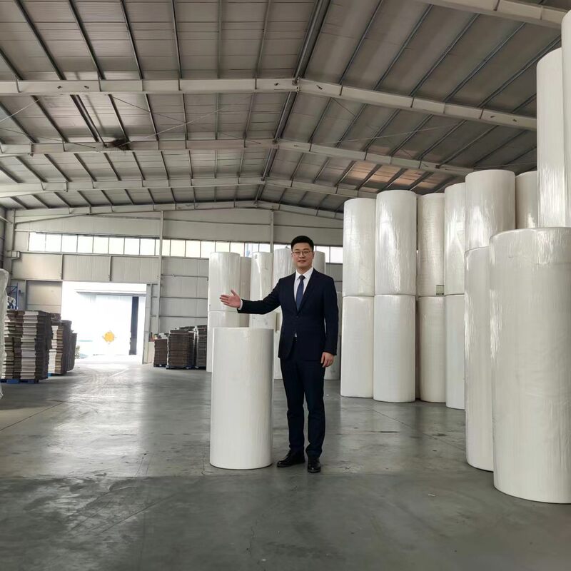 Wood Pulp Napkin Paper Raw Material, Large Roll Mother Roll Paper, Disposable Square Tissue Paper Raw Material, Supplied by Manufacturer
