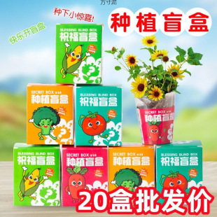 Children's Potted Plants Kindergarten Green Plant Seeds DIY Desktop Ornaments Student Prizes Small Potted Plants Wholesale Factory