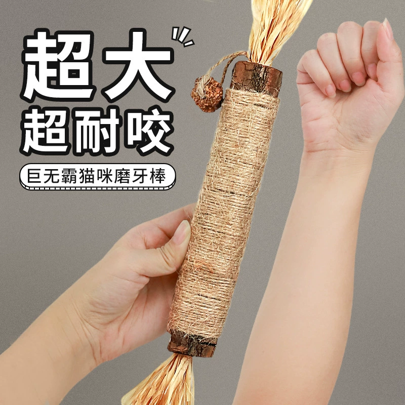 Встряхивание Звук Взрывы Polygonum Kipponicum Cat Шлифовальная палочка Игрушка для кошек Очищение Котенок Устойчивый к укусам Кошачья мята Закуски