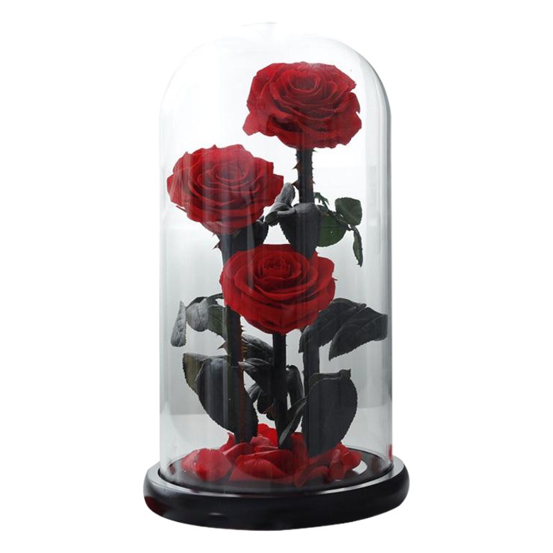 Rosa Eterna Cubierta de Cristal, El Principito, Tres Vidas, Tres Mundos, Caja de Regalo para Novia, Ramo para el Día de San Valentín