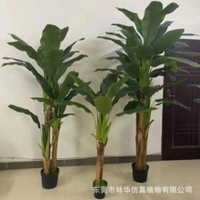 仿真芭蕉树 仿真绿植盆栽 室内客厅酒店装饰 热带仿真香蕉树批发