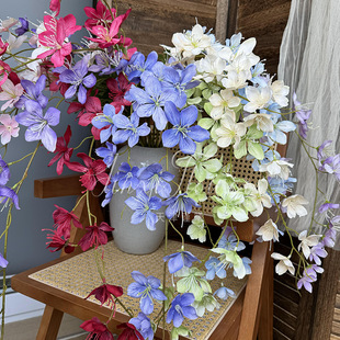 �������������滨�Ҿ�ܛ�b�쾰�b��zӰ���߼ٻ����溣�Ļ�