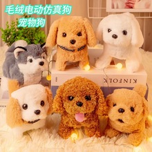 ����늄ӹ�ë�q��߹����uβ�͕��߰l�����c�^�Ȍ��к�Ů���Y��