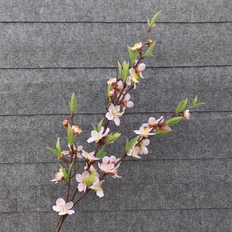 特价仿真花婚庆用花玫瑰蝴蝶兰百合满天星绣球假花白色仿真花批发|undefined