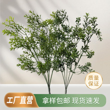 ����Gֲ���Ļ�c�������ϵ�д���������ݻ�Y���Ų廨�G�~���b