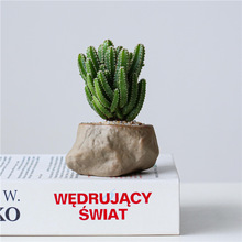 万重山盆栽网红桌面迷你小绿植多肉植物花卉好养书房室内懒人盆景