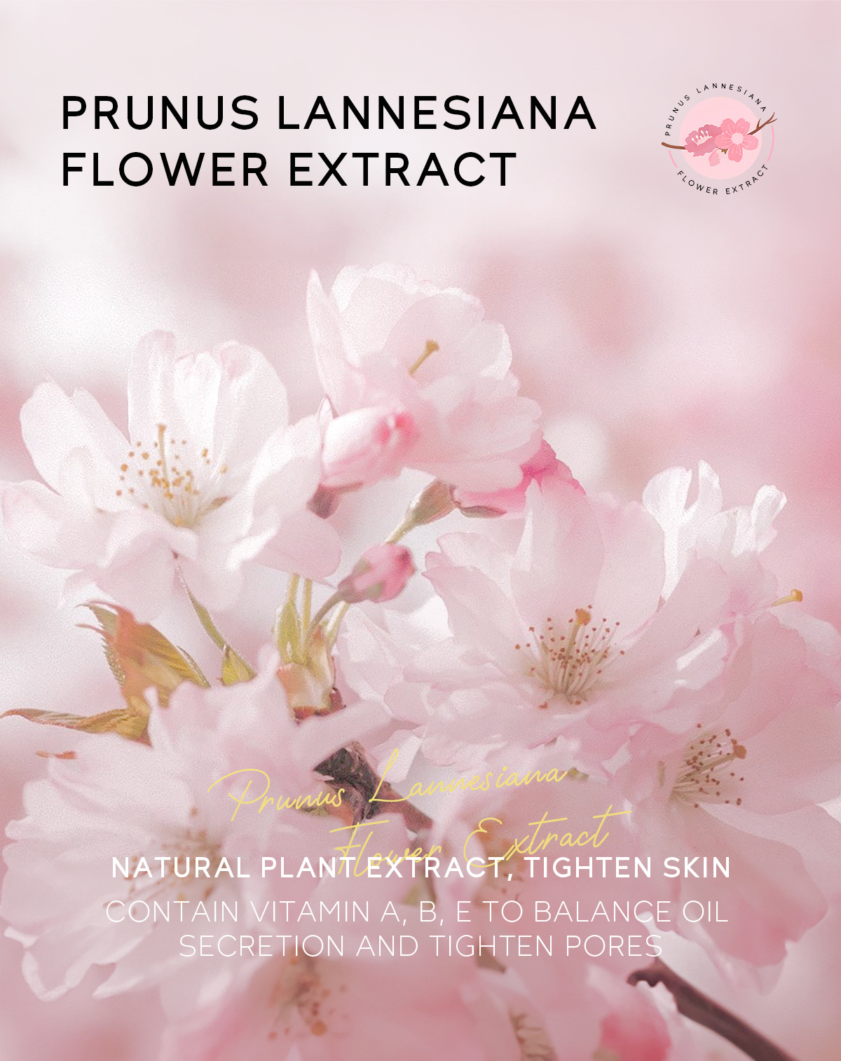 Cross-border LAIKOU Cherry Blossom Nasal Mask 30g Hydrating, Moisturizing and Cleansing Skin care product manufacturer's wholesale in stock undefined