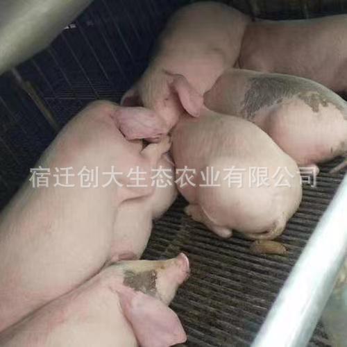 b79bcd313e498b6a344c558e82bed6