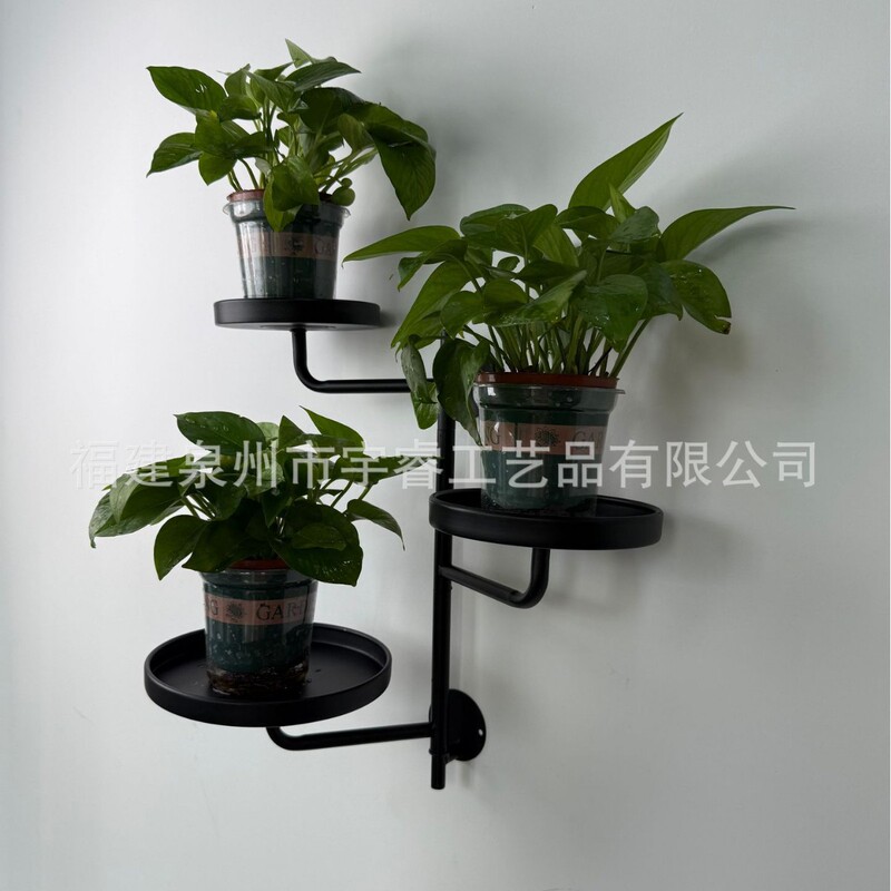 跨境壁挂式植物架室内植物墙壁铁艺挂钩室外花盆悬花架3层|undefined