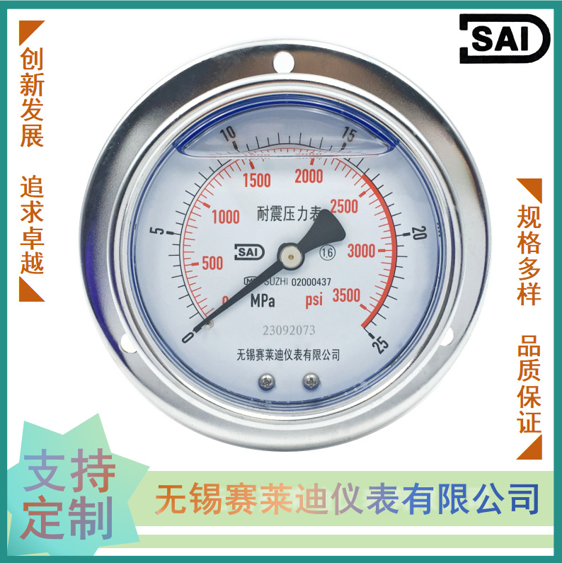 无锡赛莱迪 厂家直销 轴向带边耐震压力表YN-100ZT 轴向无边