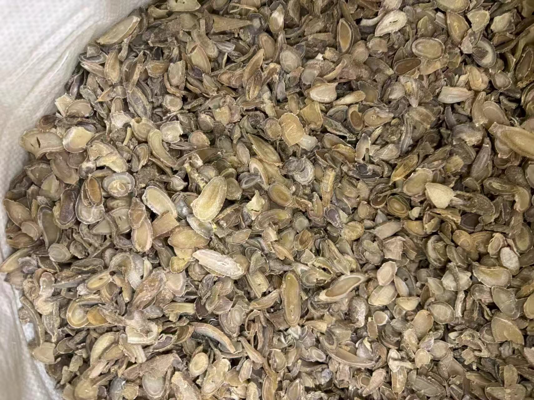 Yujin Turmeric Tuber Curcuma Root Dried Herb for Tea and Culinary Use 1000g Bag in use
