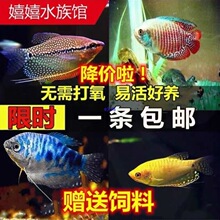 �����~���w��С���~�Ꭷ�^�p�~��ˮ�~���֌����ͻ��{�Ե����x