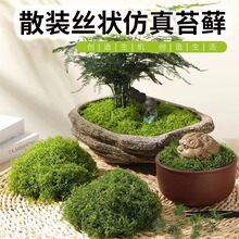 �羳����̦�\������̦��ƺ��Ƥ�Gֲ���b��쾰�辰���z���̦�\