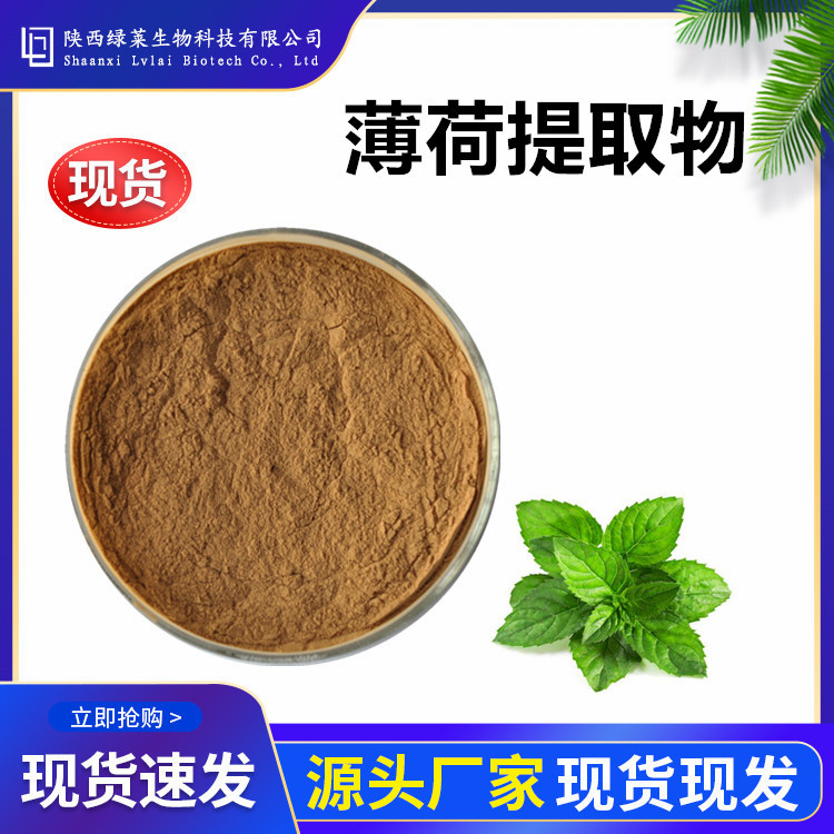 薄荷提取物10:1 现货量大价优薄荷提取粉多规格 水溶粉生粉浸膏