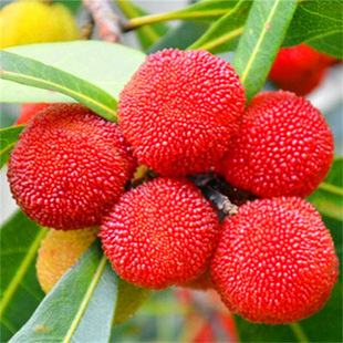 ���~���|����÷����ݩ�j��̿��÷���������t���ϱ��������玧��