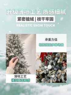 �}�Q��1.5m�}�Q��ѩ��1.8����peֲ�q�䱱�Wins��ѩ��l�⎧���ײ�