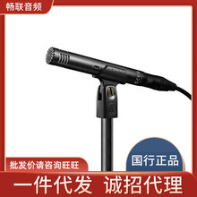 Audio Technica/铁三角 AT2031 电容麦钢琴提琴吉他人声专业话筒