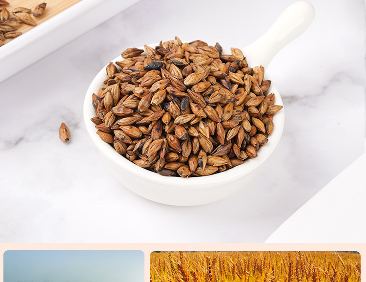 Roasted Barley Tea (Hordeum vulgare) — Original Flavor, Medium-Roast, 220g Jar, No-Brew Needed in use