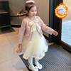 Dress, set, warm down jacket, small princess costume, skirt, Chanel style