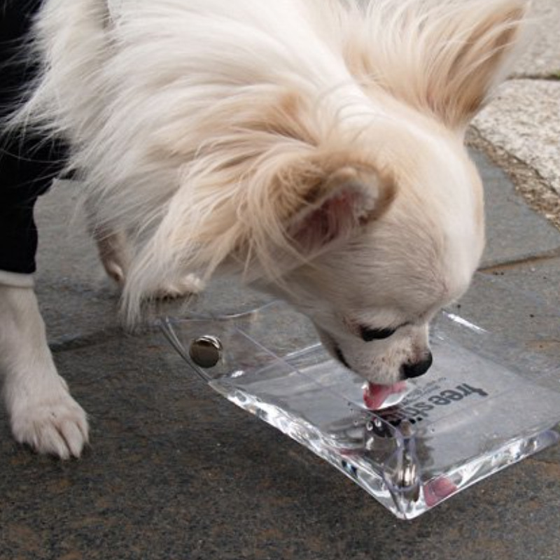 跨境新款PVC宠物水碗 可折叠实用宠物食品餐具 简约家用水