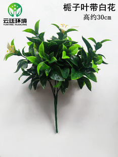 �������ֲ���� Сֲ�������� �Gֲ��������l �d���~����