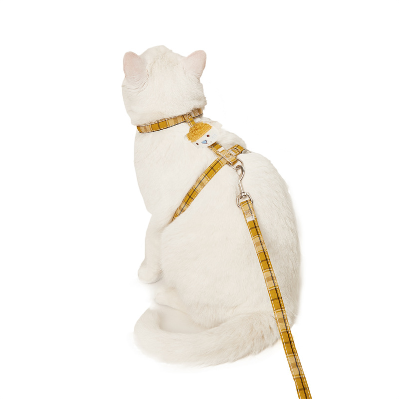 Nuevo gato en forma de I correa trasera gato cuerda gato cadena anti-rotura de la correa del pecho gato en forma de I fábrica en stock
