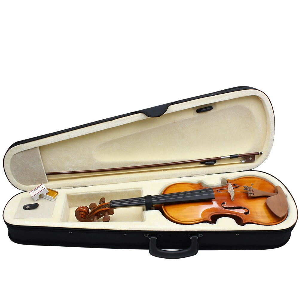 Matte violin, professional piano lighting with accessories