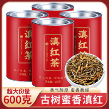 云南滇红金毫金芽红茶2021新茶古树红茶浓香型蜜香型茶叶150g