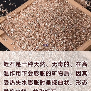 ��ʯǤ��@ˇ�����l��������|�����¼��B�������w��������������