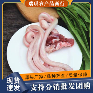 �i�����r�iС���i�o�r��ɢ�B��������i�ޟ���ȥ����߅��Ʒ�i��