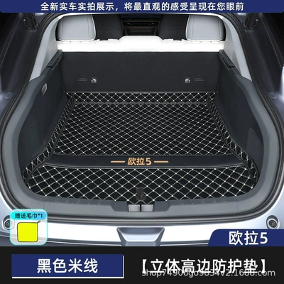 2026 Ora 5 Trunk: Trunk Mat - black-rice-main-pad-112