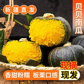 红枣干;葡萄干;其他水果