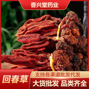 Ұ���ش���500g����ϻش��ݻ�����������ϲݲ���ʲô��Ч��؛��